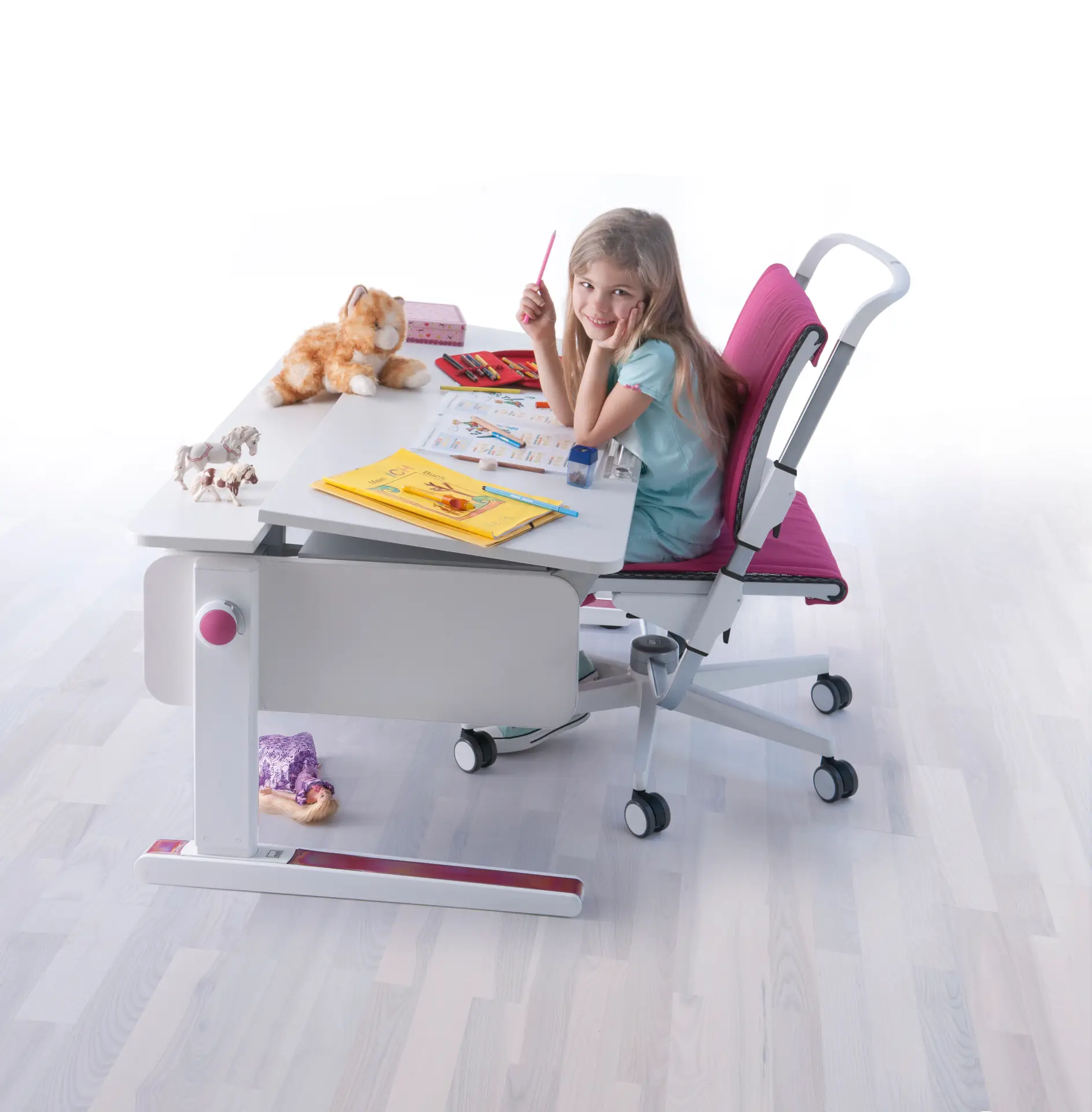 moll Champion Desk