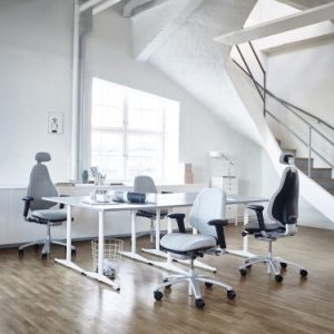 Ergonomic Chairs