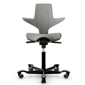 HAG Capisco Puls 8020