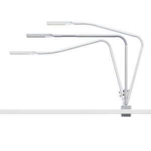 moll Flexlight