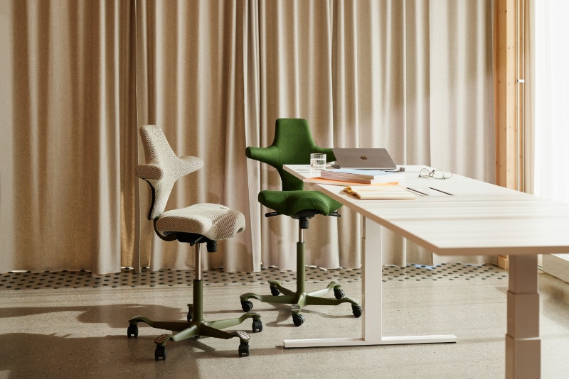 Sit-stand desk pair — two Capisco chairs at a raised desk