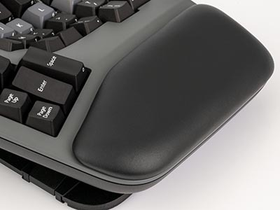 Integrated palm support icon