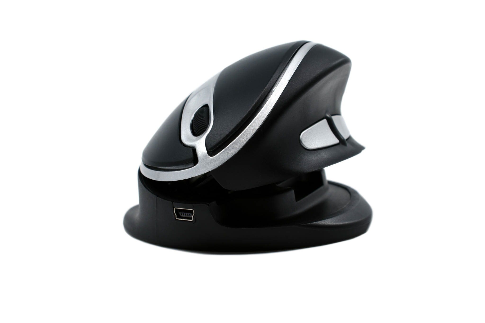 Oyster Mouse, Large size