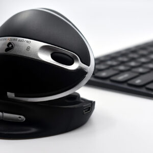 Oyster Mouse - Back in Stock!