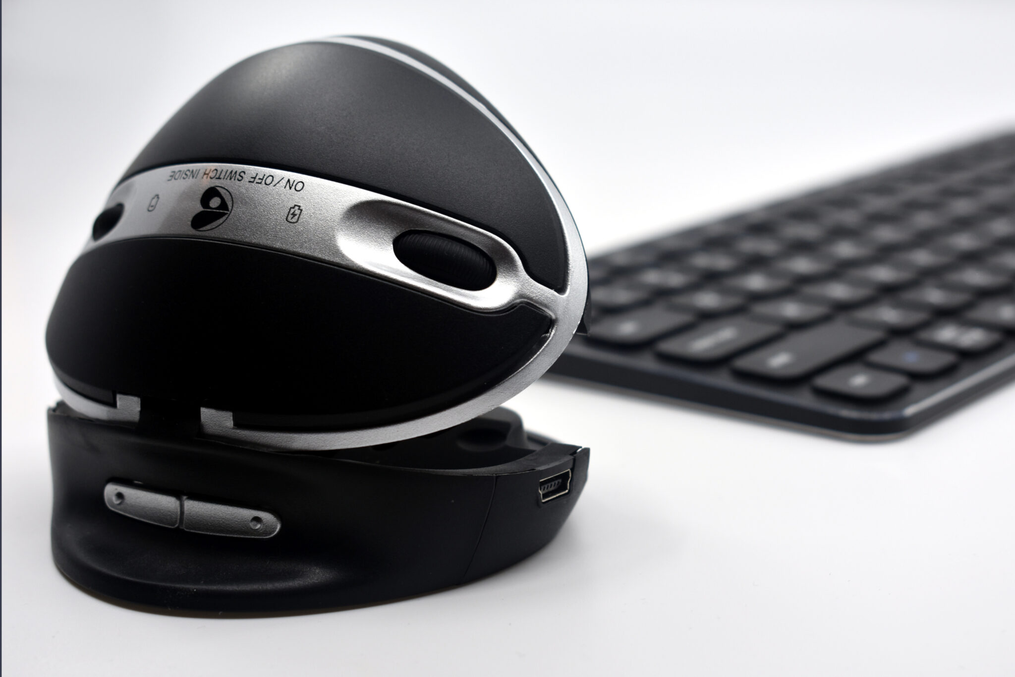 Oyster Mouse, angled product view