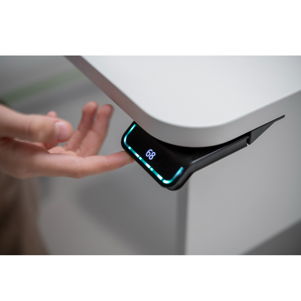 moll e-Champion digital handset control